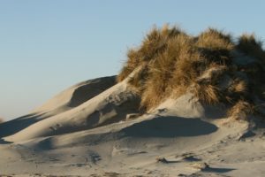 Ameland. Foto Edwin Pijpe