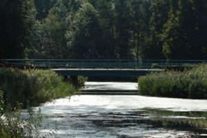 Brücke. Foto Edwin Pijpe