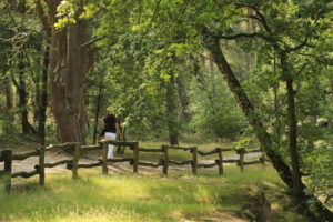Wanderpfad Lutterzand foto Edwin Pijpe