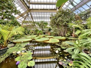 hortus leiden